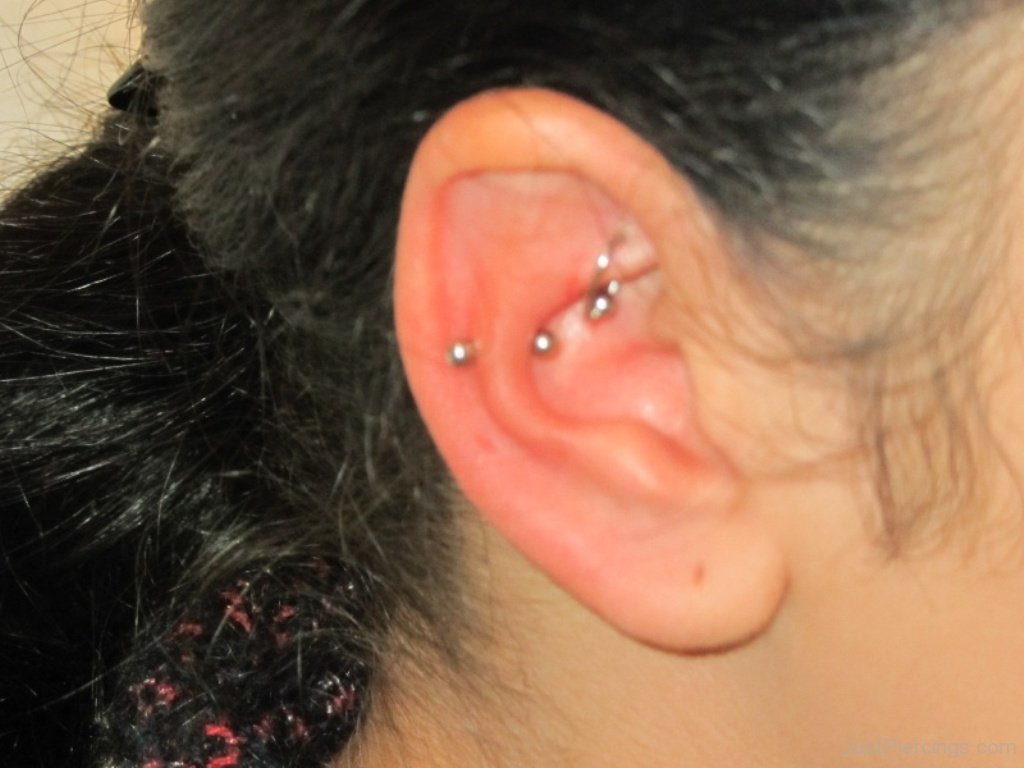 Silver Barbell Snug And Rook Piercing