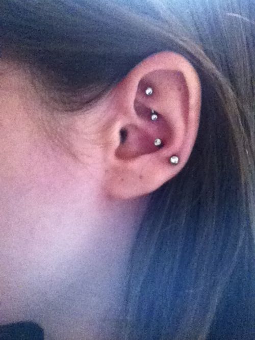 Silver Barbells Snug And Rook Piercing