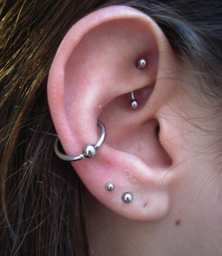 Silver Studs Lobe Piercings, Conch And Rook Piercing