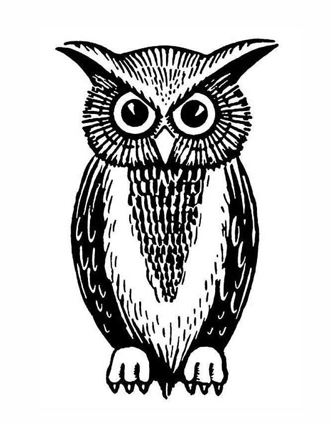 Simple Black Ink Owl Tattoo Stencil