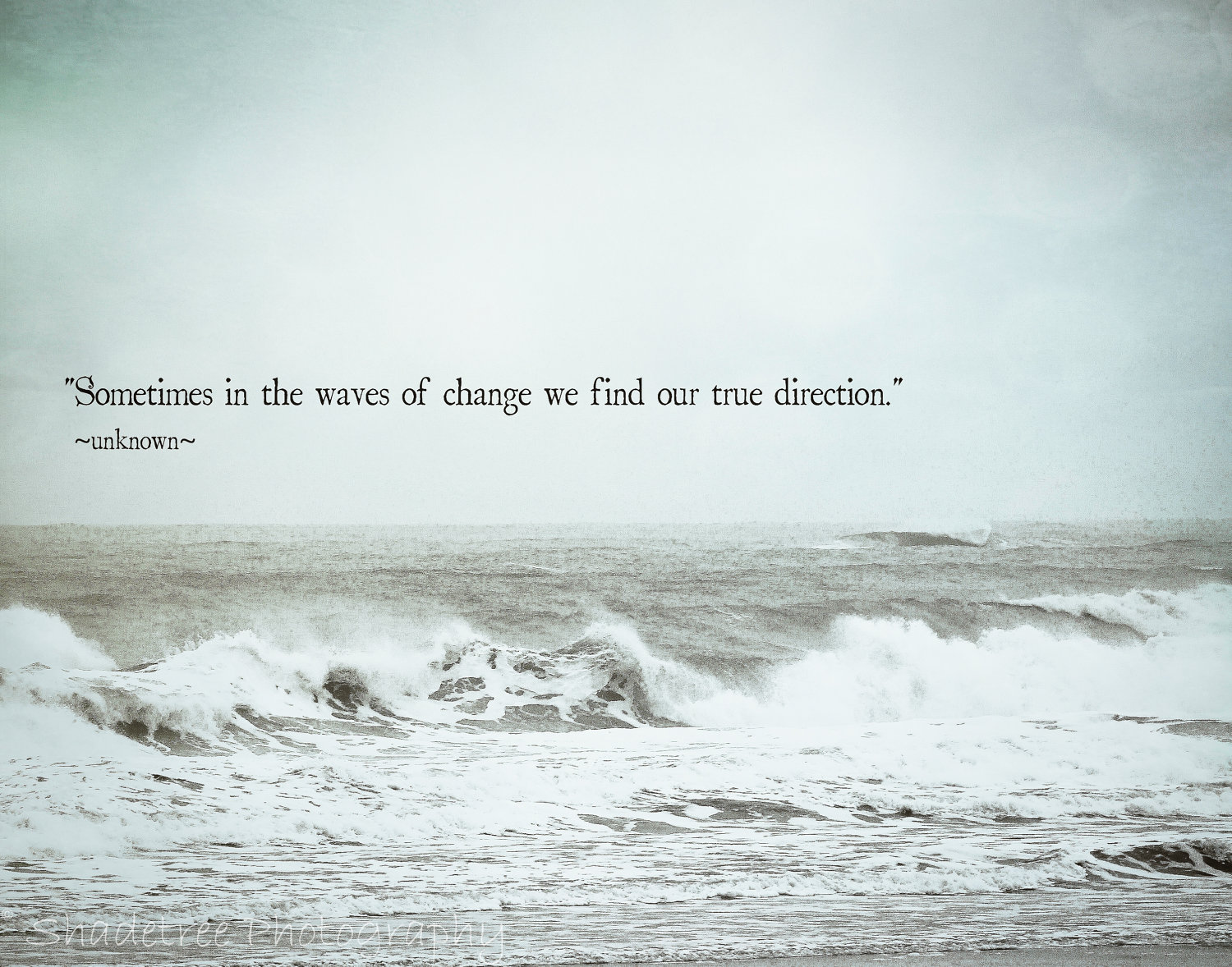 Sometimes in the waves of change, we find our true direction