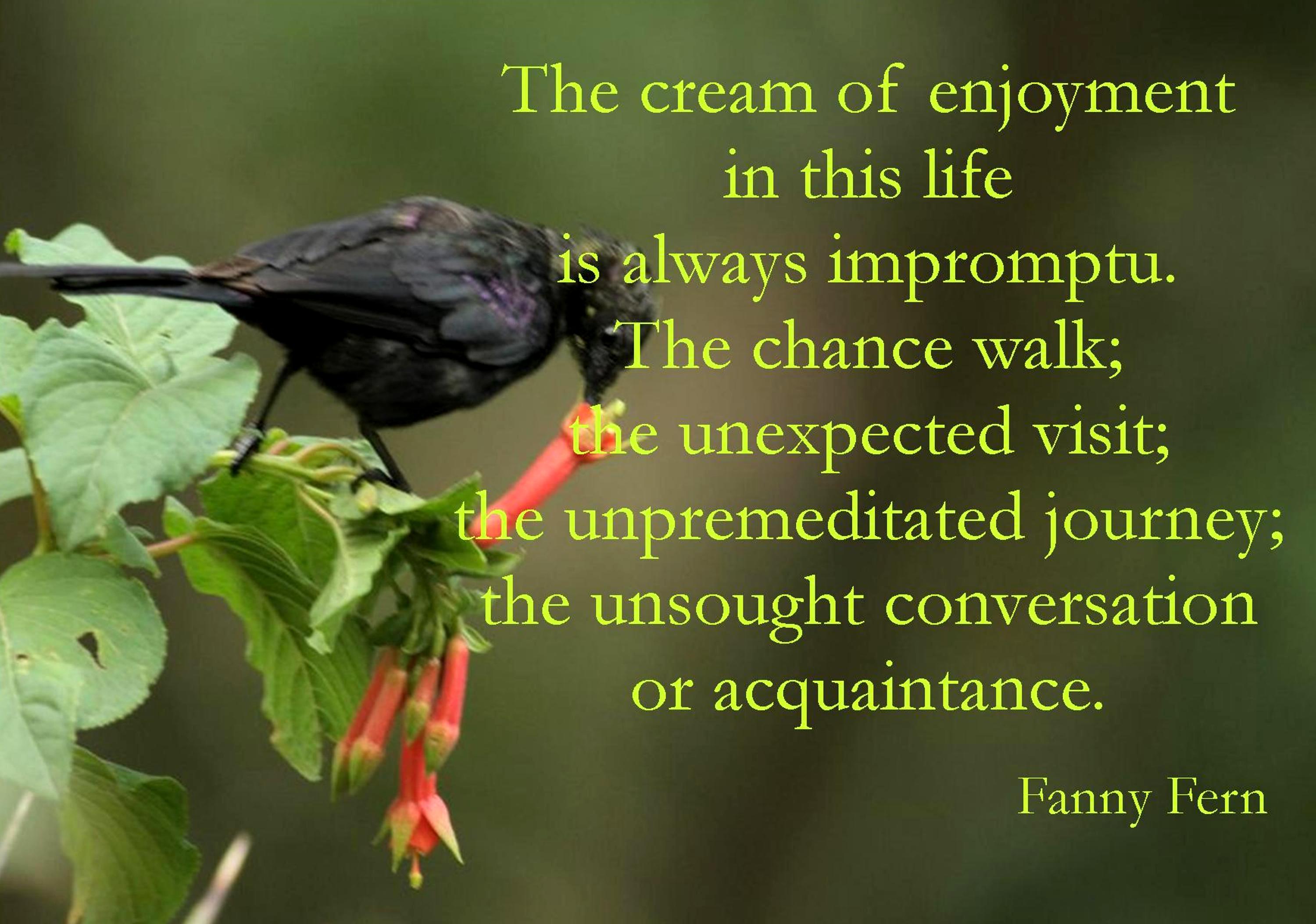 The cream of enjoyment in this life is always impromptu. The chance walk; the unexpected visit; the unpremeditated journey; the unsought ... Fanny Fern