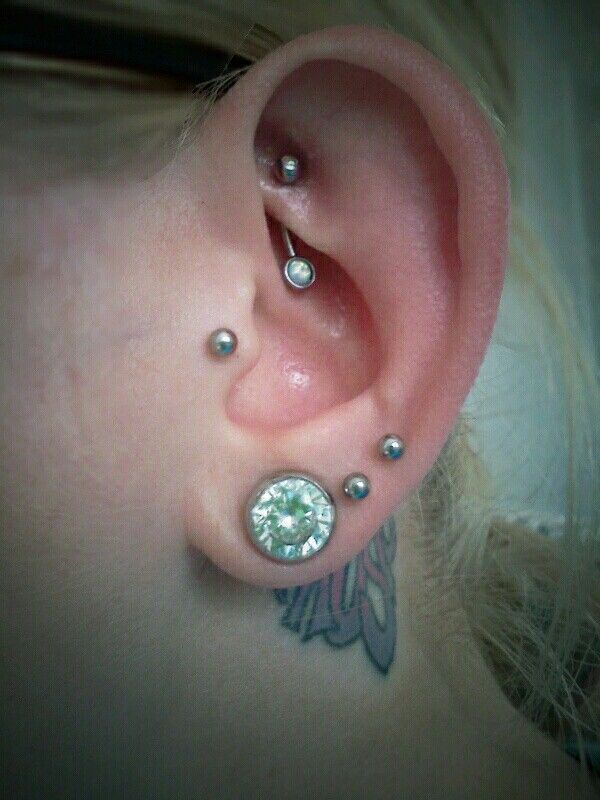Triple Ear Lobes, Tragus And Rook Piercing Picture