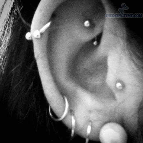 Triple Lobes, Tragus And Rook Piercing Picture