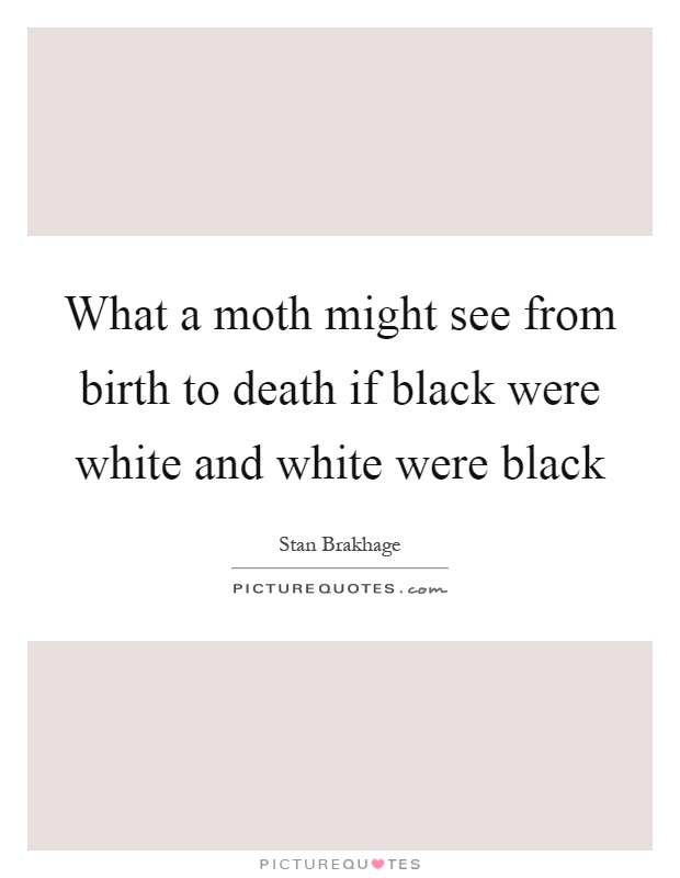 What a moth might see from birth to death if black were white and white were black. Stan Brakhage