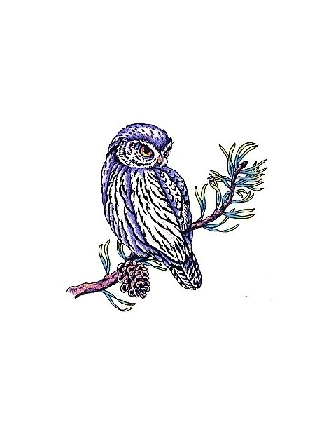 Wonderful Owl On Branch Tattoo Design