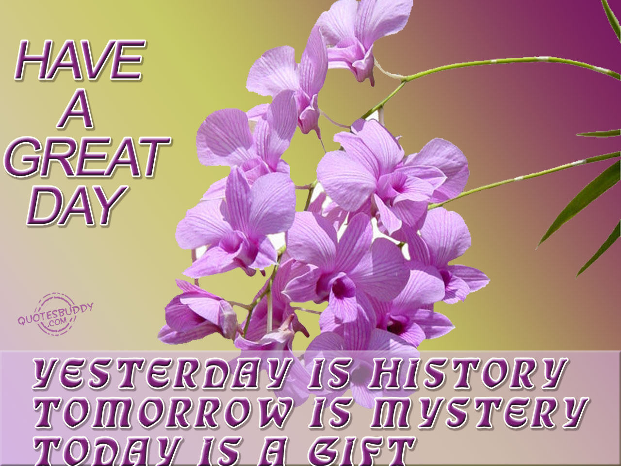 Yesterday is history, tomorrow is a mystery, today is a gift