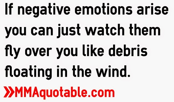 If negative emotions aries you can just watch them fly over you like debris floating in the wind