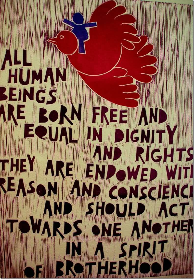 All human beings are born free and equal in dignity and rights. They are endowed with reason and conscience and should act towards one another in a spirit of brotherhood.