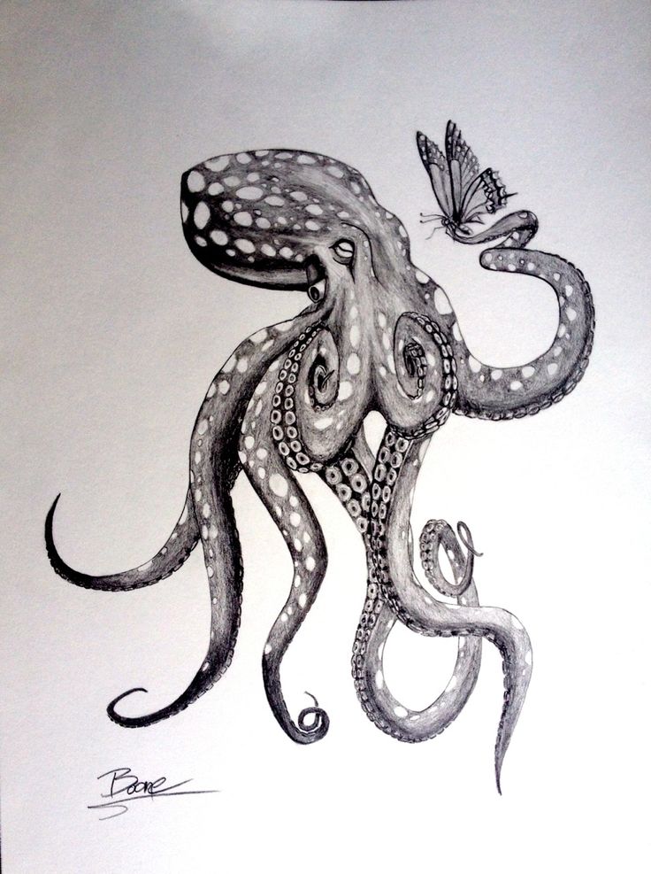Attractive Black And White Octopus With Butterfly Tattoo Design
