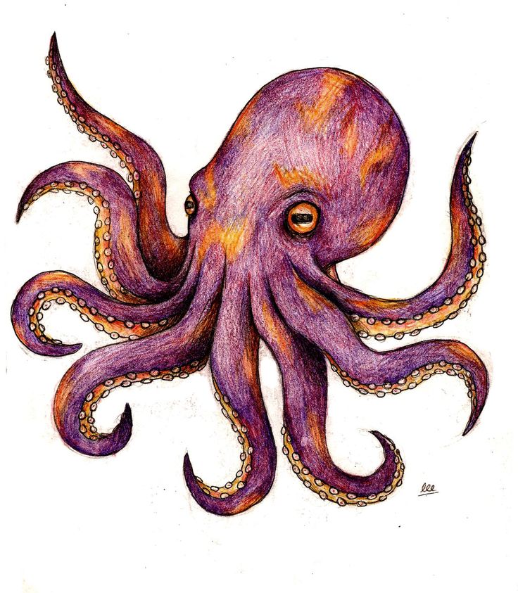 Attractive Colorful Small Octopus Tattoo Design
