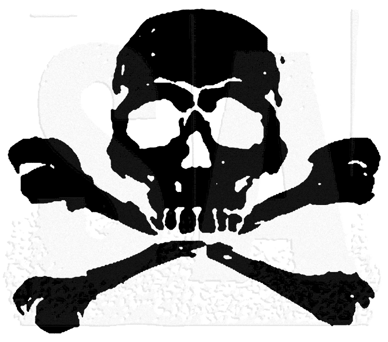 Attractive Pirate Skull With Crossbone Tattoo Stencil