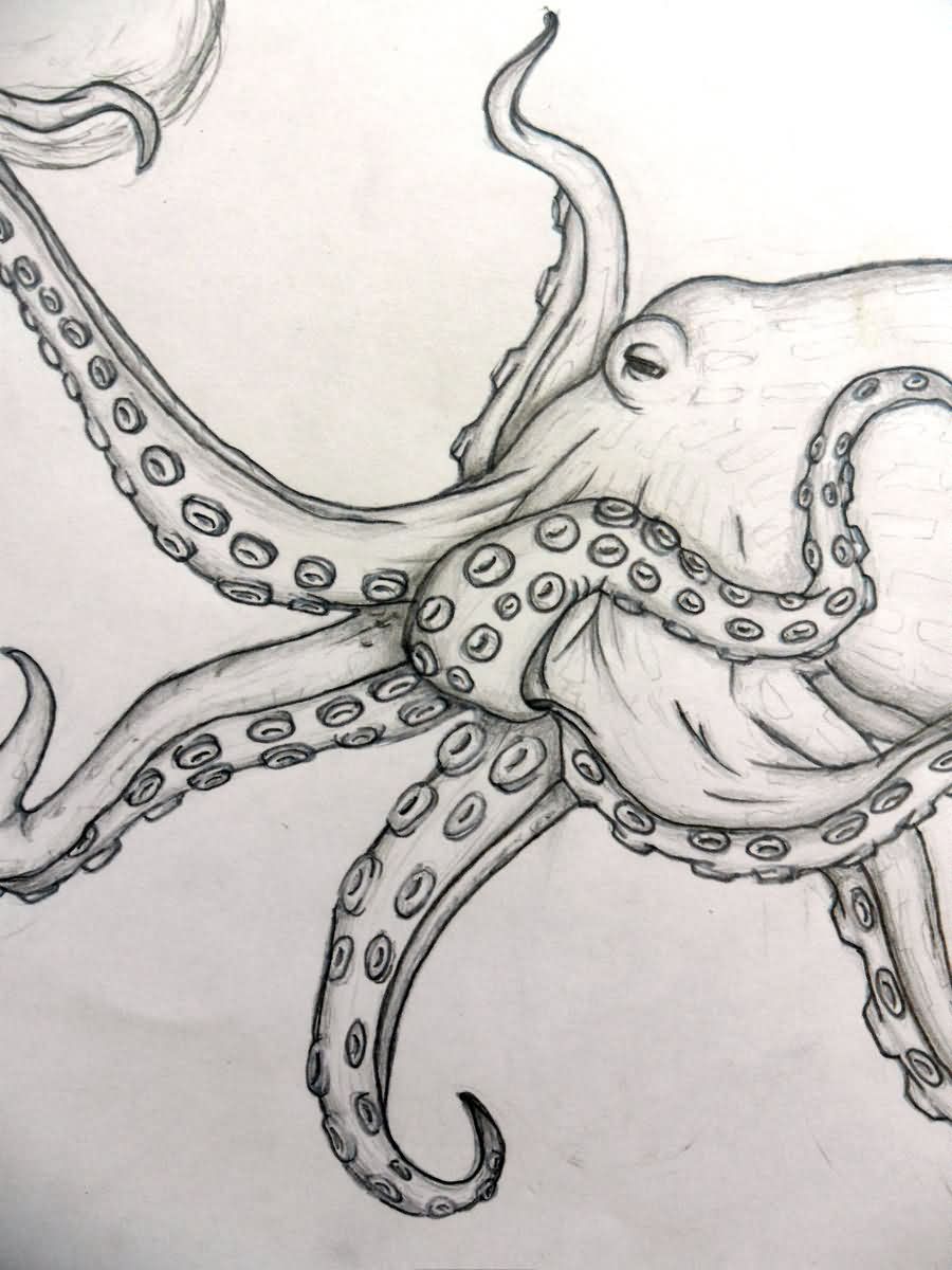 Awesome Black And Grey Octopus Tattoo Design