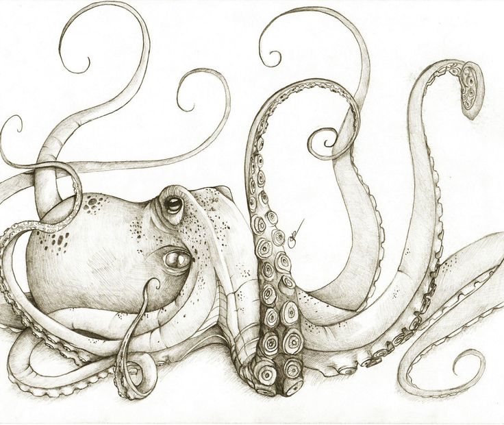 Awesome Grey Ink Octopus Tattoo Design