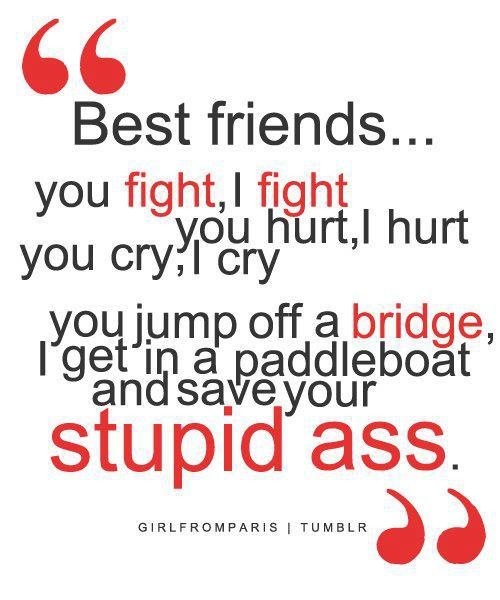 Best Friends...you fight, I fight, you hurt I hurt, you cry, I cry, you jump off a bridge, I get in a paddle boat and save your stupid ass