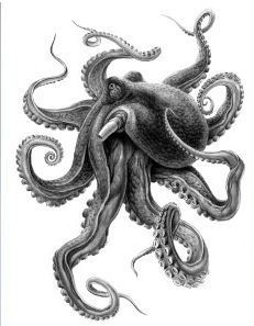 Cool Black And White Octopus Tattoo Design
