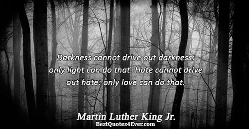 Darkness cannot drive out darkness only light can do that. Hate cannot drive out hate only love can do that. Martin Luther King Jr.
