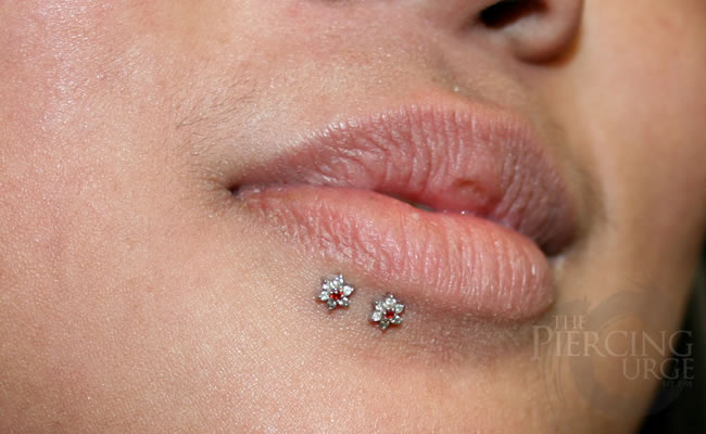 Dual Side Labret Piercing With Flower Studs