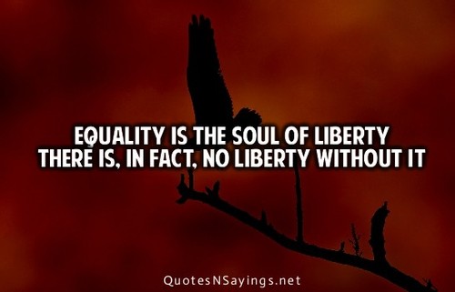 Equality is the soul of liberty there is, in fact, no liberty without it.