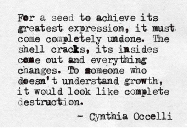 For a seed to achieve its greatest expression, it must come completely undone. The shell cracks, its insides come out and everything changes. To someone ... Cynthia Occelli