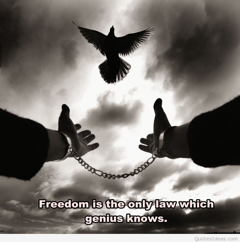 Freedom is the only law which genius knows