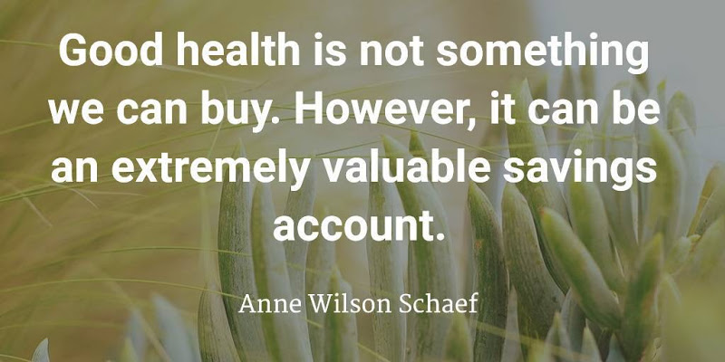 Good health is not something we can buy. However, it can be an extremely valuable savings account. Anne Wilson Schaef