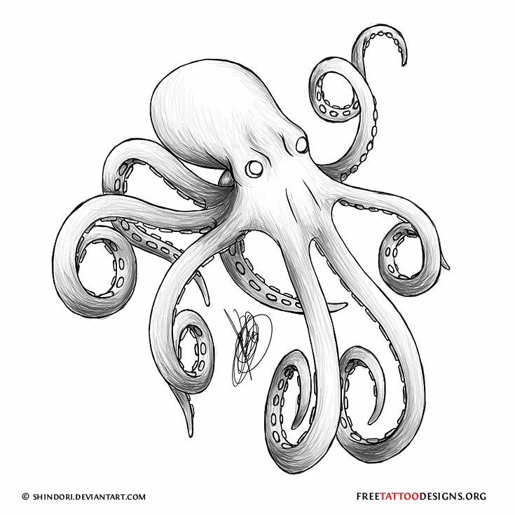 Grey Ink Small Octopus Tattoo Design