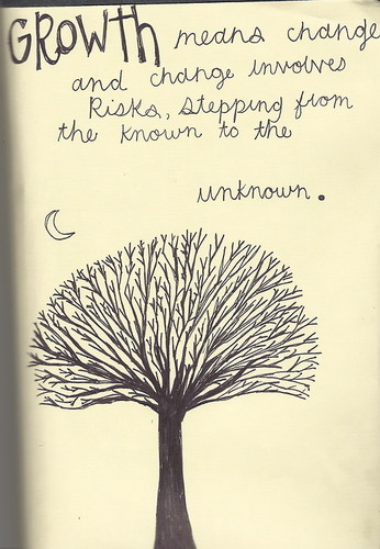 Growth means change and change involves risk, stepping from the known to the unknown