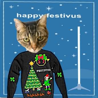 Happy Festivus Funny Cat Picture