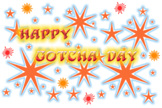 Happy Gotcha Day Animated Ecard