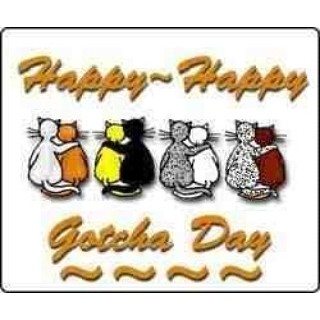 Happy Gotcha Day Cats Cartoon Picture