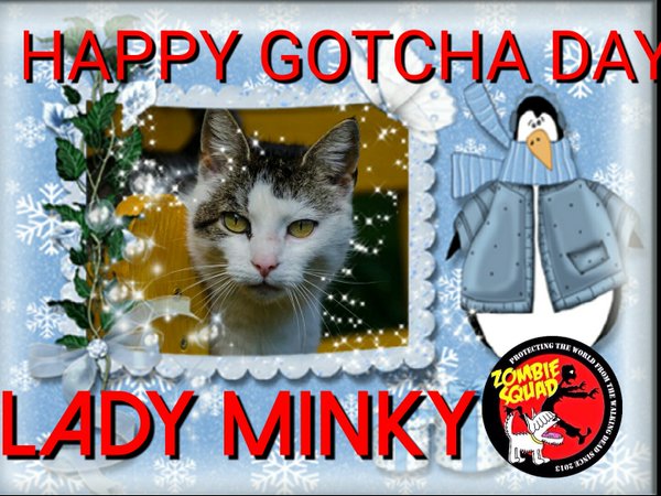 Happy Gotcha Day Lady Minky