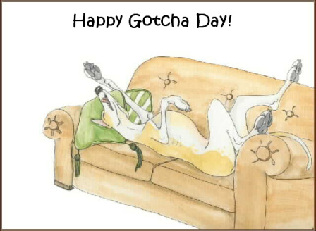 Happy Gotcha Day Sleeping Dog Cartoon Picture