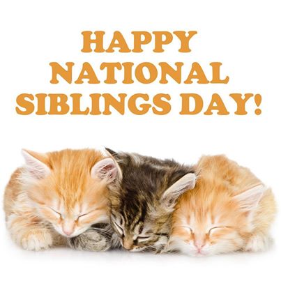 Happy National Siblings Day Cats Picture