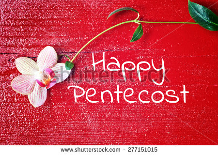 Happy Pentecost Flower Picture