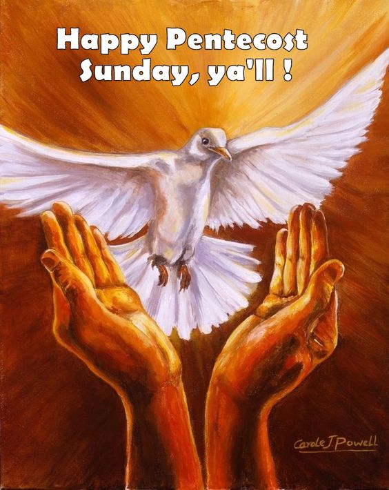 Happy Pentecost Sunday Ya'll Dove In Hands Painting