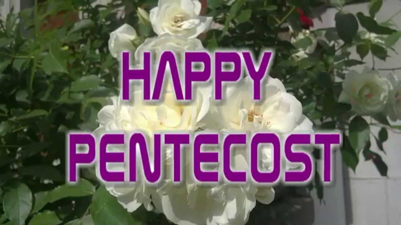 Happy Pentecost White Rose Flower In Background