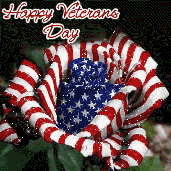 Happy Veterans Day American Flag Rose Flower Glitter