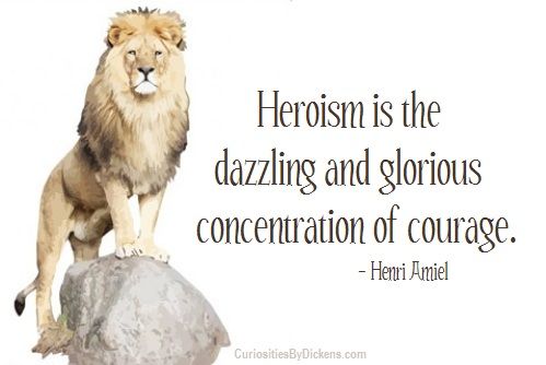 Heroism is the dazzling and glorious concentration of courage. Henri Frédéric Amiel