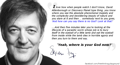 I love how when people watch I don't know, David Attenborough or Discovery Planet type thing you know where you see the absolute phenomenal majesty and ... Stephen Fry