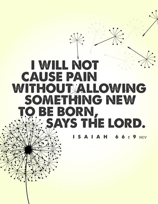 I will not cause Pain without allowing something new to be born, says the lord.