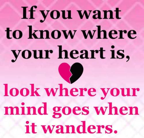 If you want to know where your heart is look where your mind goes when it wanders