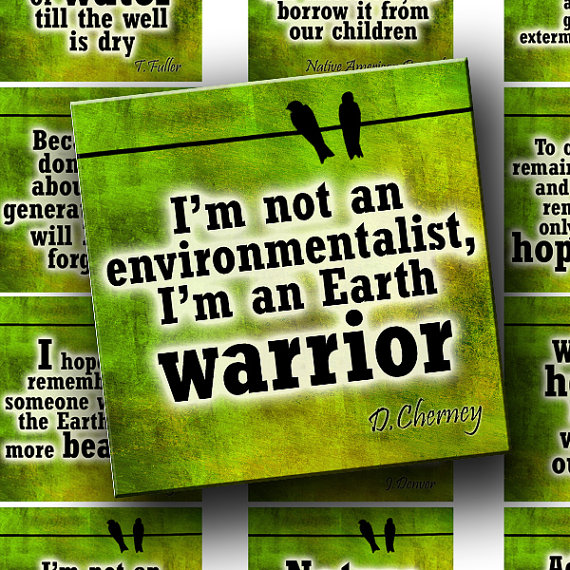 I'm not an environmentalist, i'm an earth warrior. D. Cherney