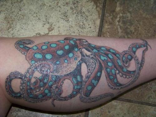 Impressive Octopus Tattoo On Leg Calf