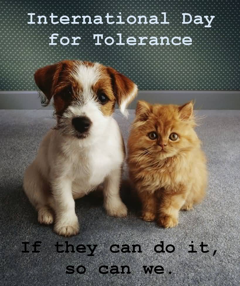 International Day for Tolerance If They Can Do It, So Can We. Puppy And Kitten Picture