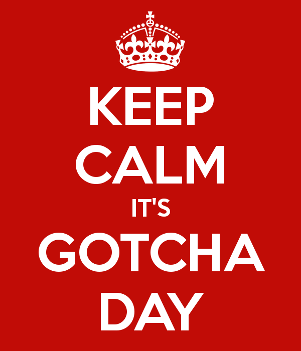 Keep Calm It's Gotcha Day