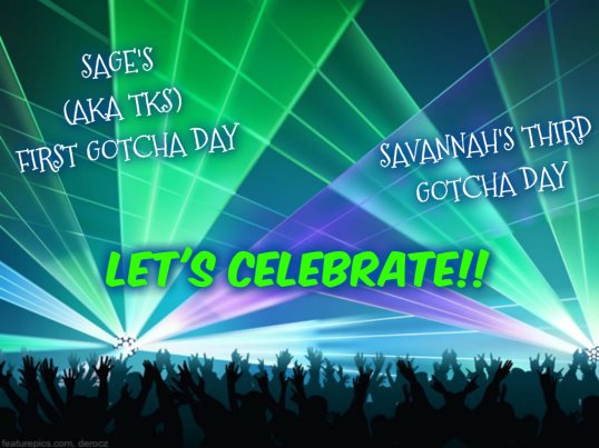 Let's Celebrate Gotcha Day