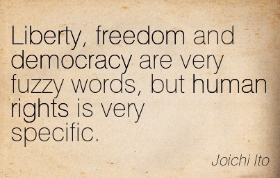Liberty, Freedom And Democracy Are Very Fuzzy Words, But Human Rights Is Very Specific. Joichi Ito