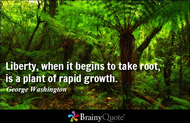 Liberty, when it begins to take root, is a plant of rapid growth. George Washington