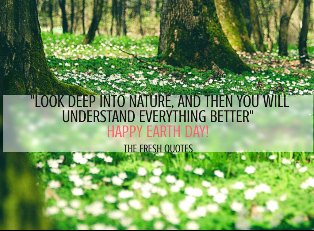 Everything well. Look Deep into the nature quotes. Look deeply into nature and then you will understand everything better. Earth Day sayings. Quotes about nature.